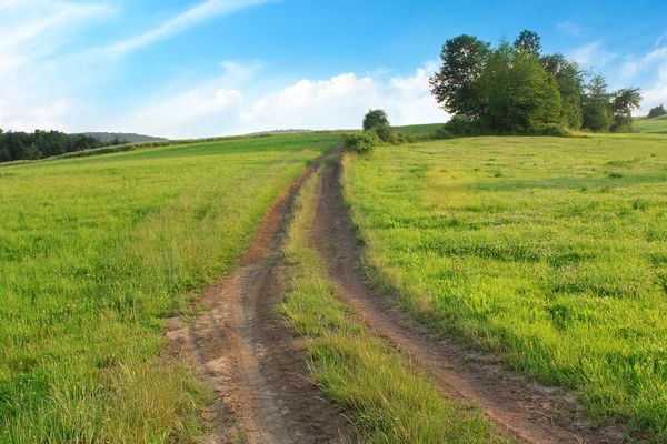 Stock image Lane in meadow and trees