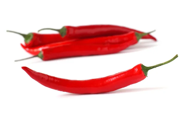 Red chili peppers isolated on white — Stock Photo, Image