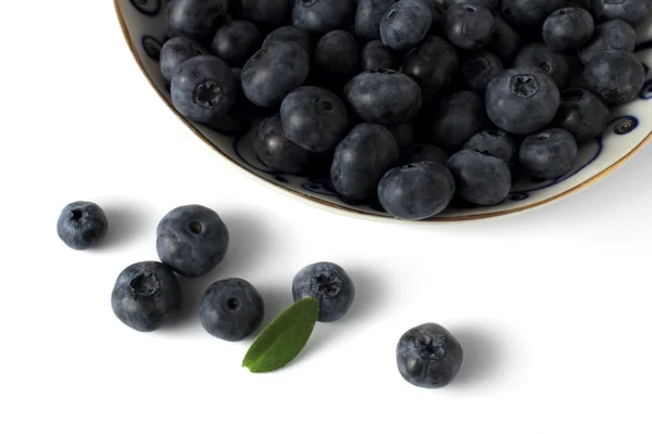 Blueberries on porcelain plate — Stock Photo, Image