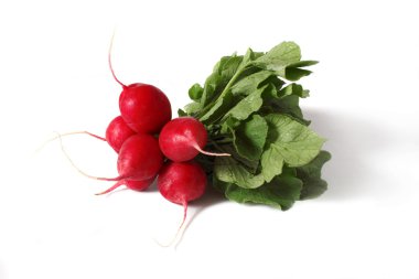 Bunch of radishes isolated on white background clipart