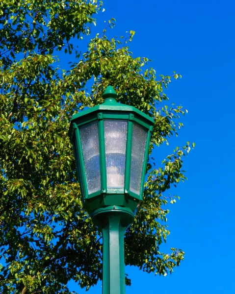 Lâmpada verde — Fotografia de Stock