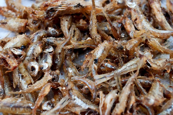 Tetra peixe frito perto — Fotografia de Stock