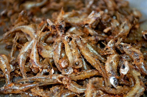 Tetra di pesce fritta chiudi — Foto Stock