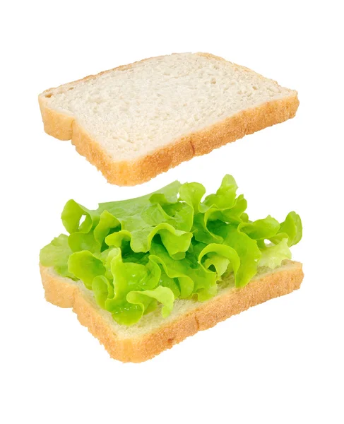Sandwich aperto con lattuga isolata su fondo bianco — Foto Stock