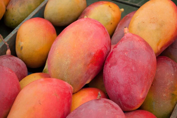 Ganska closse av många mangos — Stockfoto