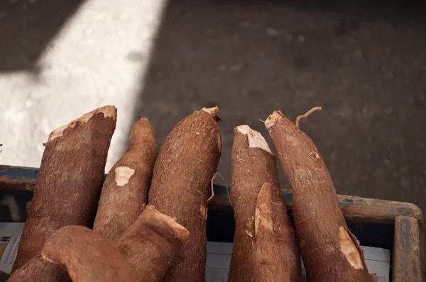 Docela blízko mnoha cassava — Stock fotografie