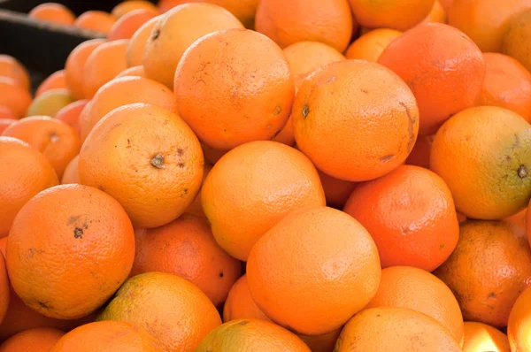 stock image A lot of oranges