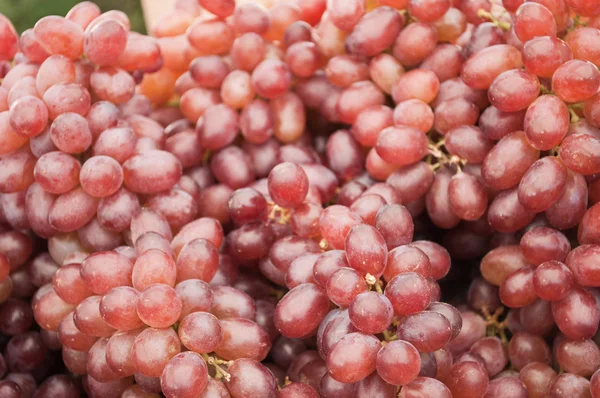 Cierre de uvas — Foto de Stock