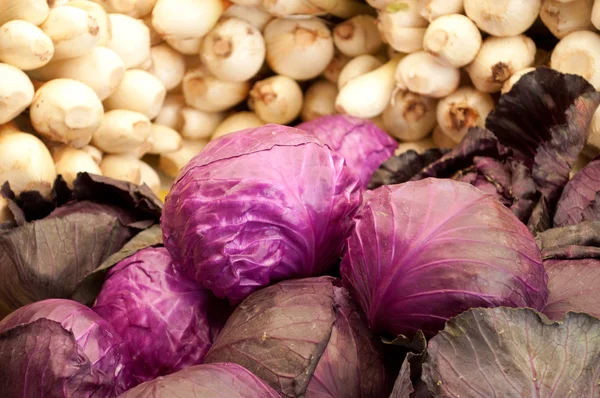 Purple cabbage and turnip on background — Stock Photo, Image