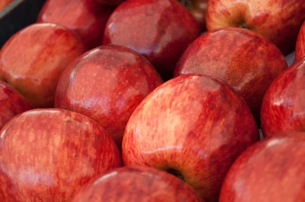 Luk af argentinske æbler - Stock-foto