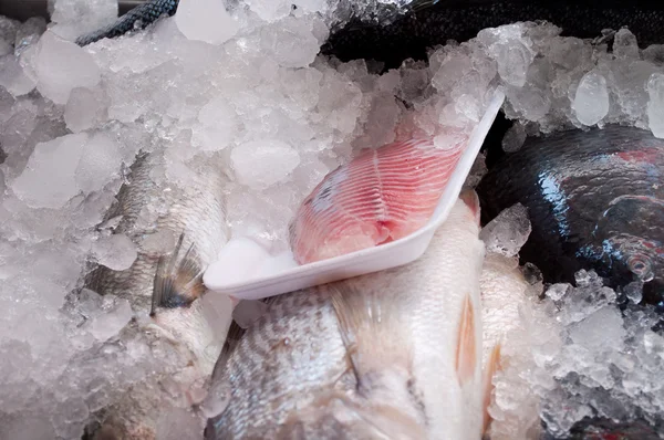 Vrij sluiten van veel schoon vis op het ijs — Stockfoto