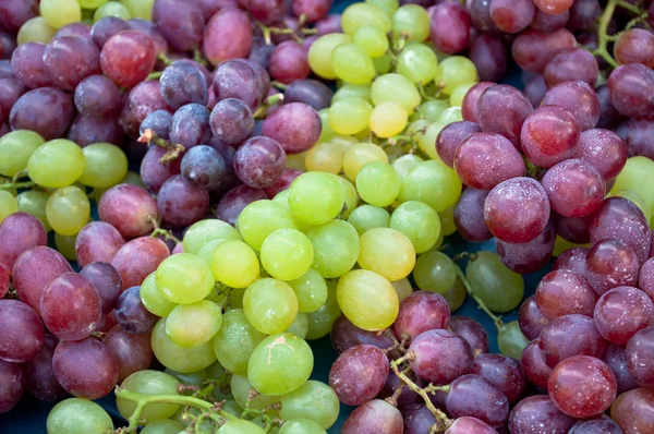 Sluiten van druiven — Stockfoto