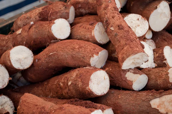 Mooie sluiten van vele cassave Stockfoto