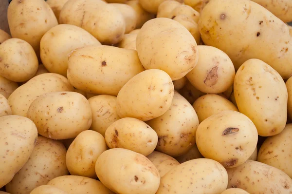 Mooie afsluiting van vele aardappelen Stockfoto