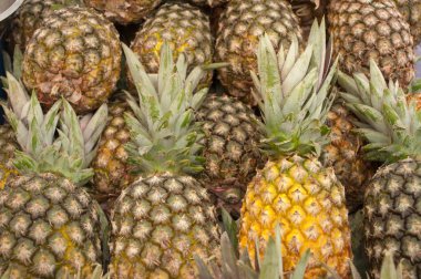 ananas grubu