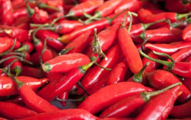 Fresh red chilli pepper clipart