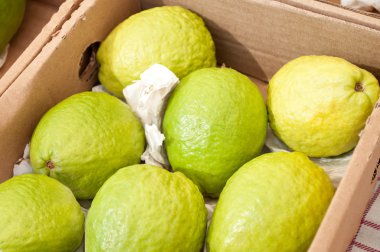 Close of box of guavas clipart