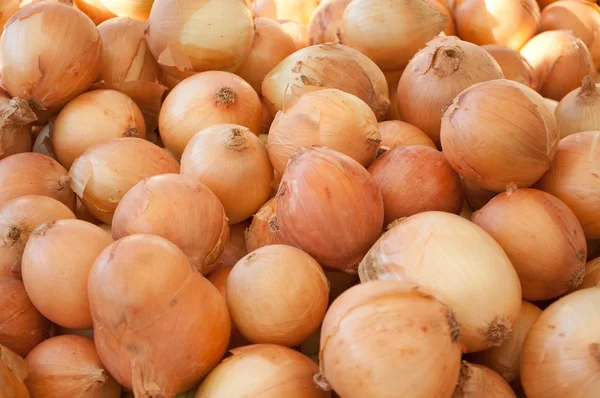 Close of group of onion — Stock Photo, Image