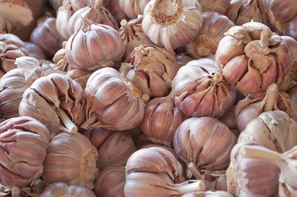 Group of garlics — Stock Photo, Image