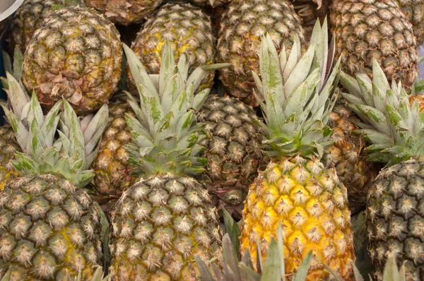 Groep van ananas — Stockfoto