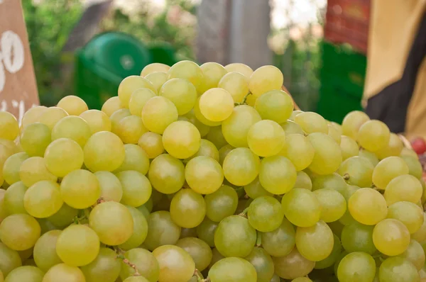 Cierre de uvas verdes — Foto de Stock