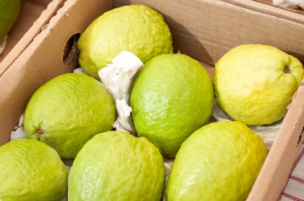 Close of box of guavas — Stock Photo, Image