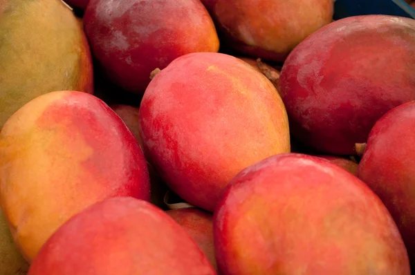Pretty close of many mangos — Stock Photo, Image