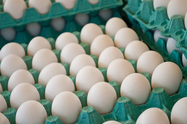 Закрытие лотков с белыми яйцами — стоковое фото