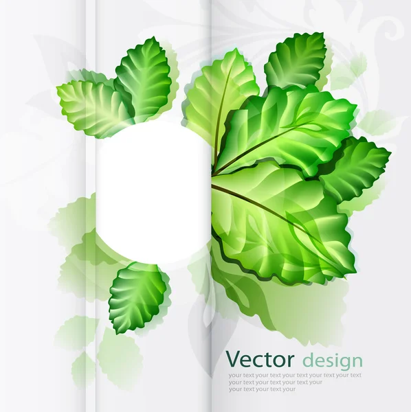 stock vector Green leaves abstract