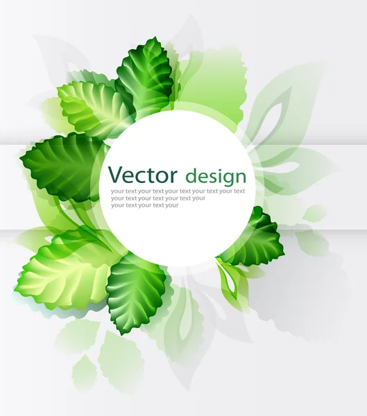 Green leaves abstract — Stock Vector