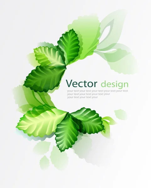 Green leaves abstract — Stock Vector