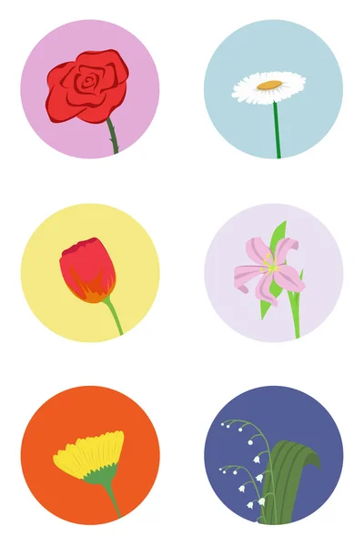 花のセット — ストックベクタ