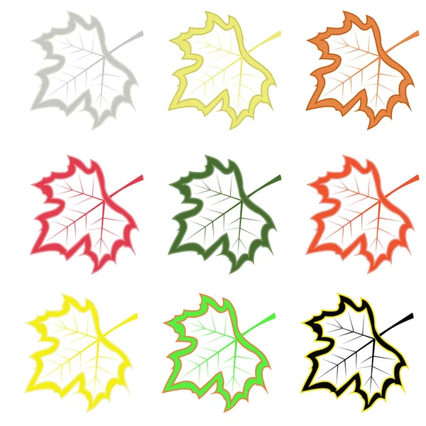 Set de frunze de arțar — Vector de stoc