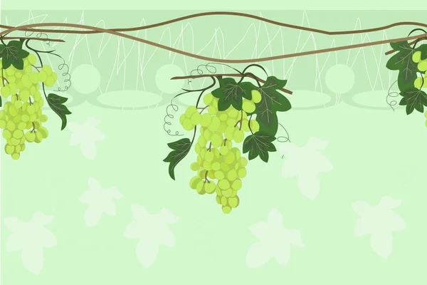 Baorder винограду — стоковий вектор