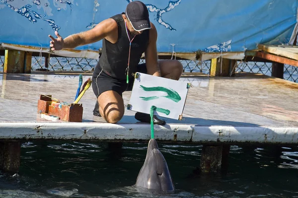 Pintura de delfín — Foto de Stock