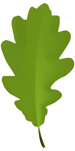 Oak leaf — Stock Vector