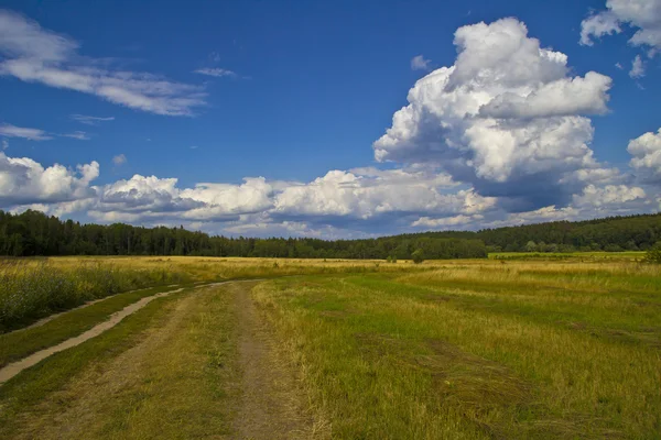 Picturesque summer russian landscape — Stockfoto