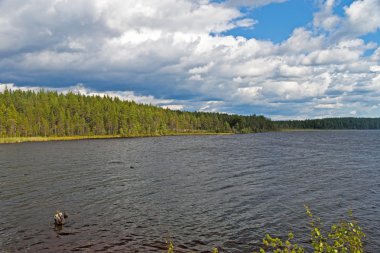 White Sea-Baltic Canal in Karelia clipart