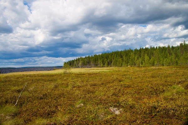 Zanurzą kanał brzeg Białomorsko-Bałtyckiego w Karelii — Zdjęcie stockowe