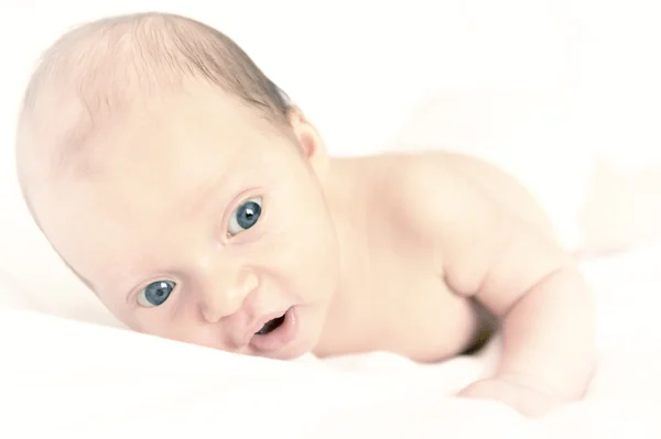 stock image Baby plus White