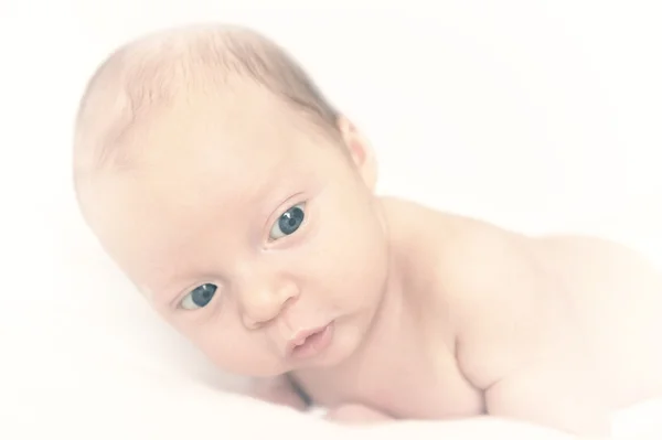 stock image Baby plus White