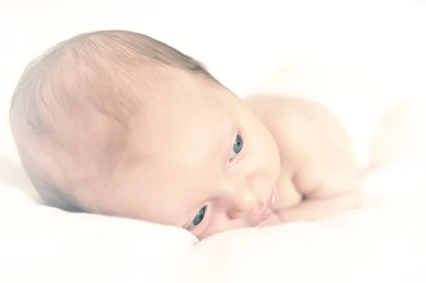 Stock image Baby plus White