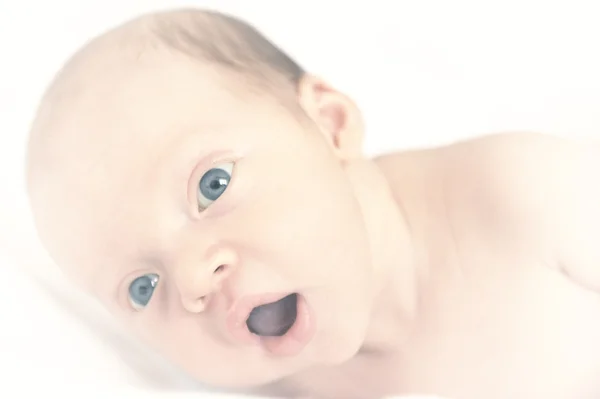 stock image Baby plus White