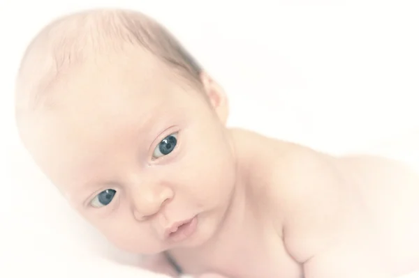 stock image Baby plus White