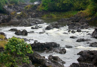 Gökkuşağı rapids, büyük ada, hawaii düşüyor.