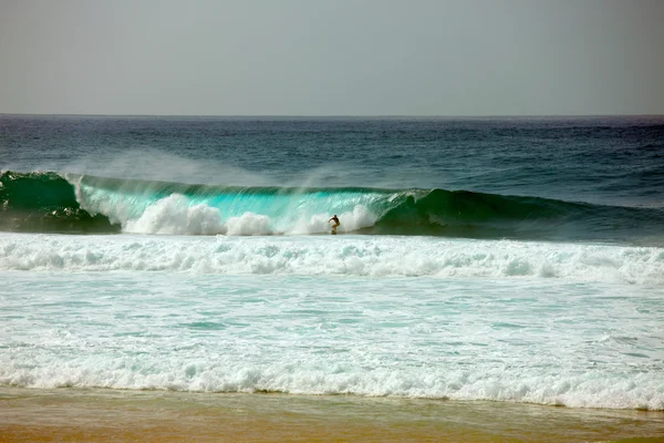 tüp dalga, sunset beach, hawaii