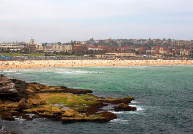 Bondi beach, Avustralya