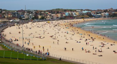 Bondi beach, Avustralya