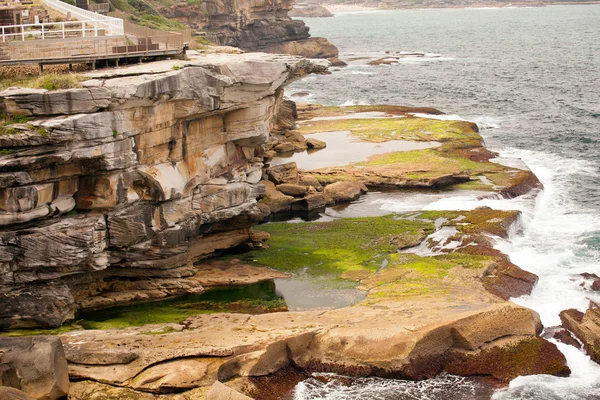 Mossy kust, Oost-sydney, Australië Stockafbeelding