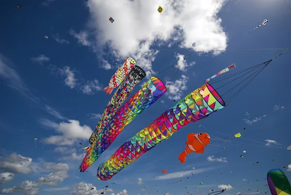 Multi Coloured Kites — Stock Photo, Image